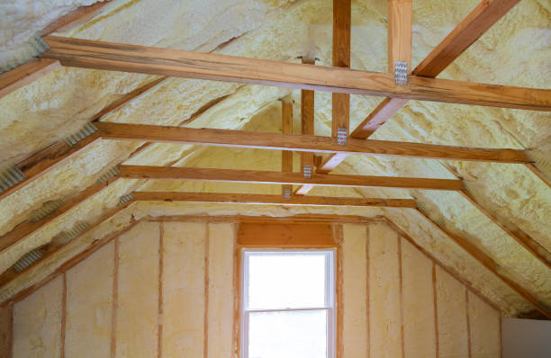 Best Spray Foam Insulation in Sibley, IA