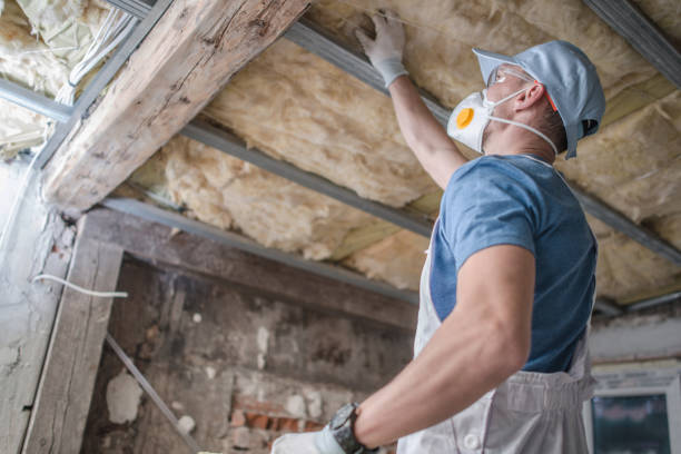 Best Commercial Insulation in Sibley, IA